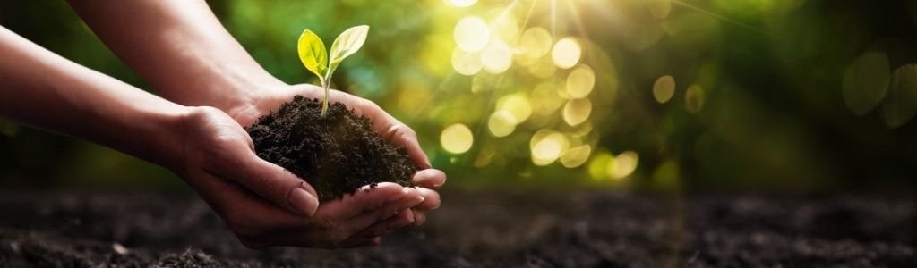 L’écologie au quotidien : astuces et bonnes pratiques pour tout recycler !