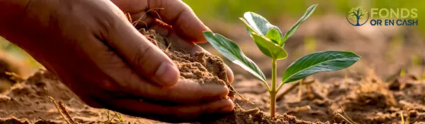 Notre fonds de dotation Or en Cash soutient l'agroforesterie de Marion dans les Alpes de Hautes Provence